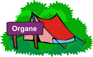Camping